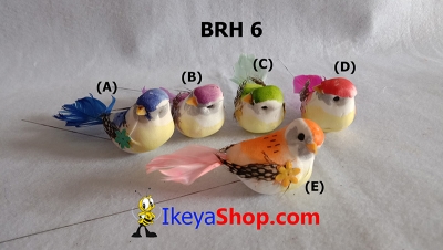 BRH 6 a  large2